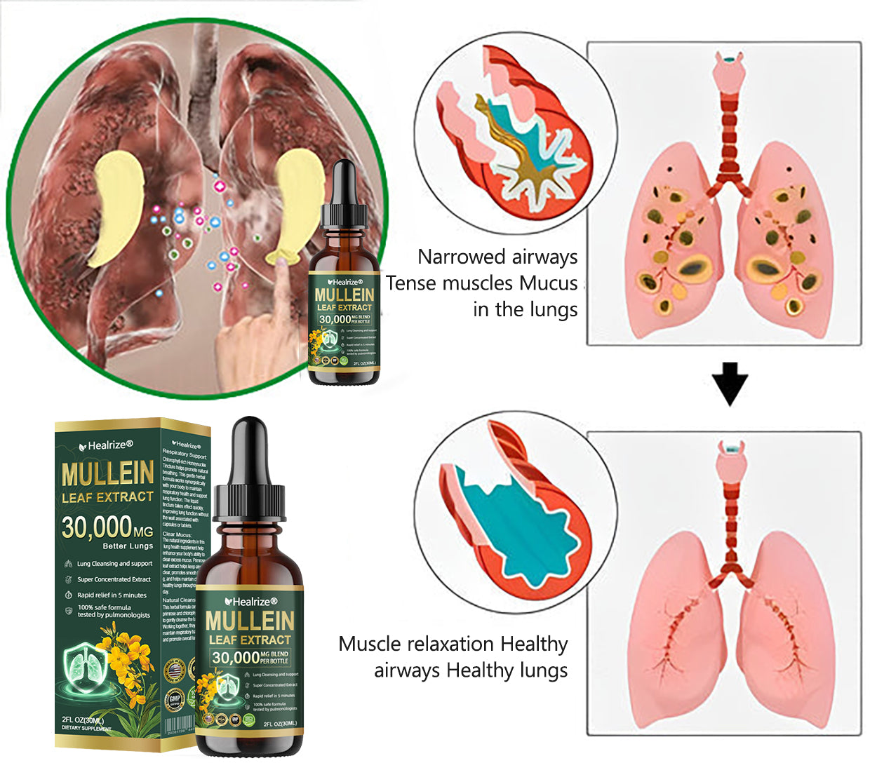 Healrize® 🌿 Organic Lung Cleansing Mullein Leaf Extract Drops Clinically proven to relieve cough, phlegm, asthma, and COPD (Chronic Obstructive Pulmonary Disease) — Breathe freely and easily.