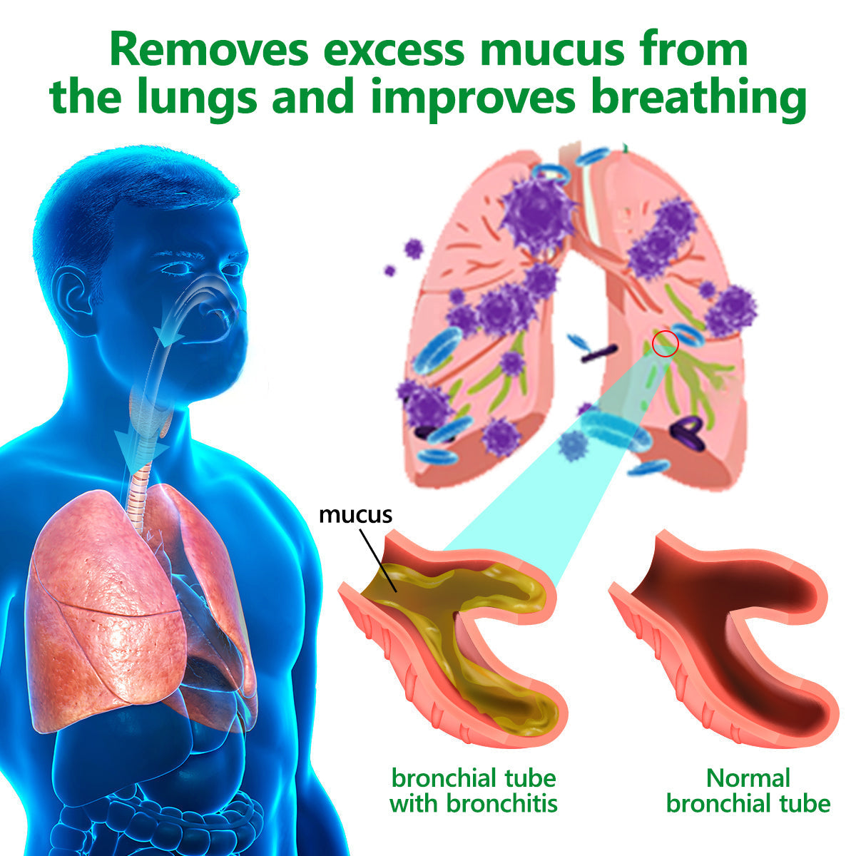 Healrize® 🌿 Organic Lung Cleansing Mullein Leaf Extract Drops Clinically proven to relieve cough, phlegm, asthma, and COPD (Chronic Obstructive Pulmonary Disease) — Breathe freely and easily.