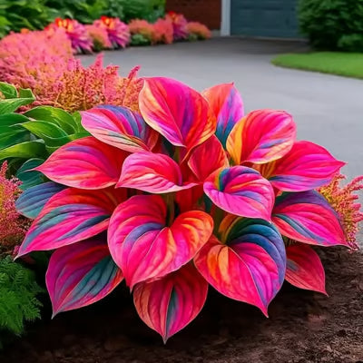 SVOZK® Premium Rare Hosta Seeds💖🔥1 Pack-100 Seeds"The Queen of the Shade Garden" - Freshly Packed, High Germination, Exotic Varieties